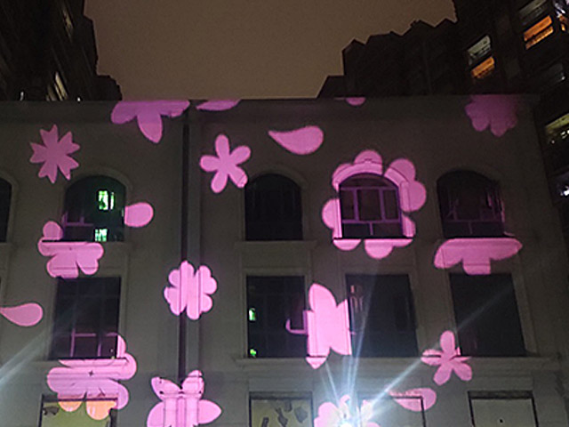 落花投影灯